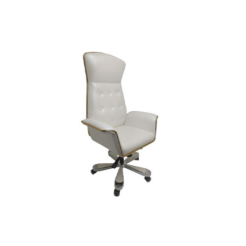 Metal Frame Chairs in Delhi 