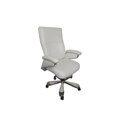 Metal Frame Chairs in Delhi 